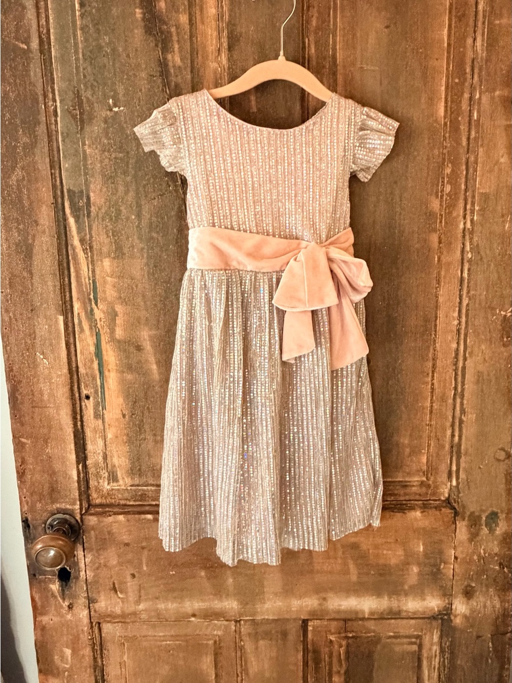 Blueberi Boulevard Girls Shimmer Party Dress – Size 4T